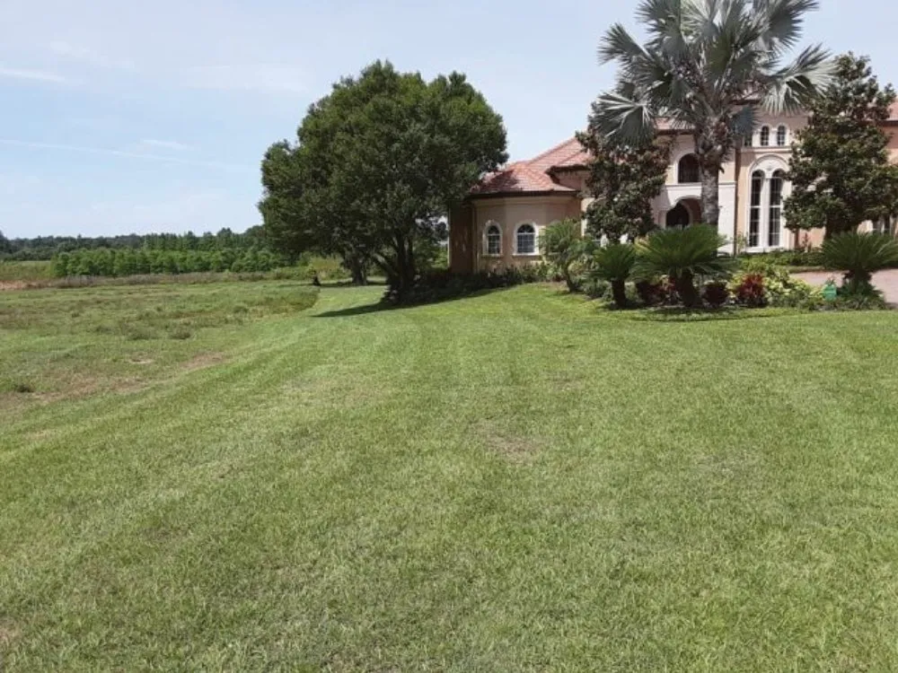 Local landscaping services in Lakeland, FL - Eddie's Lawns Care & Landscaping Services