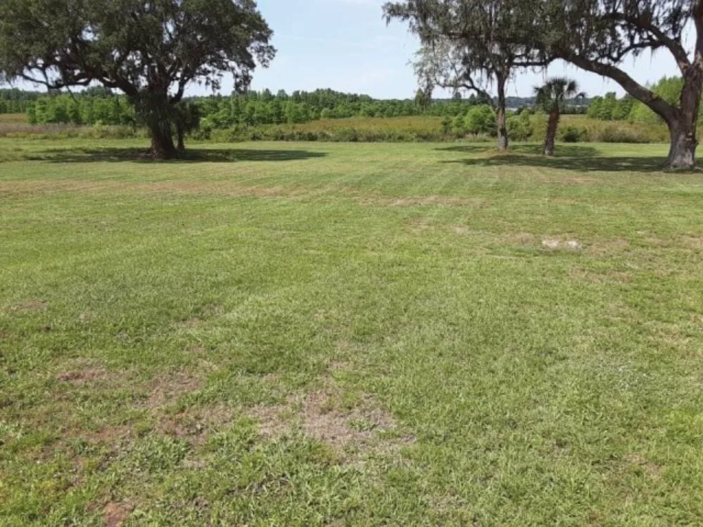 Professional yard maintenance experts serving Lakeland, FL - Eddie's Lawns Care & Landscaping Services