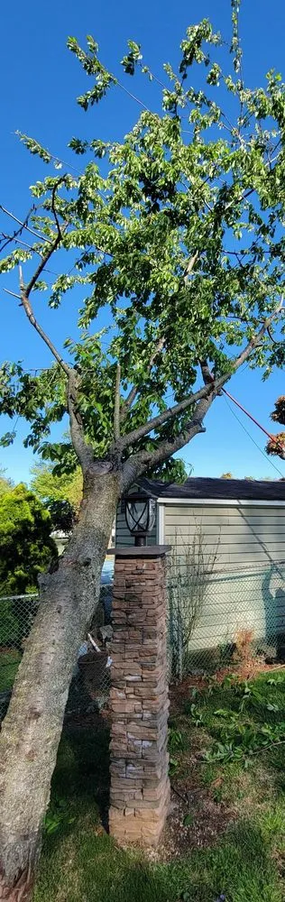 Professional landscaping services in Hatboro, PA by Eddies Tree & Landscaping