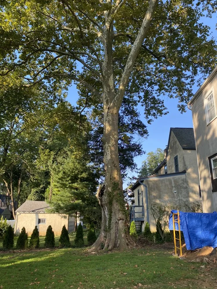 Local lawn mowing service in Hatboro, PA by Eddies Tree & Landscaping