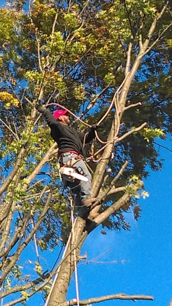 Affordable landscape design for year-round maintenance across Hatboro, PA - Eddies Tree & Landscaping