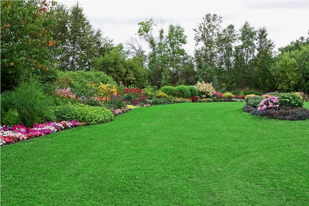 Local landscaping services in Hatboro, PA - Eddies Tree & Landscaping