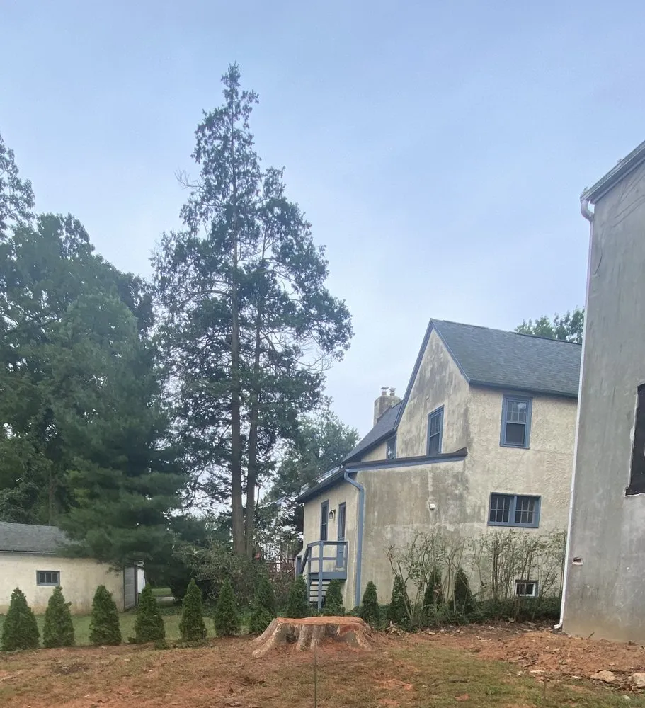 Professional residential landscaping in Hatboro, PA by Eddies Tree & Landscaping