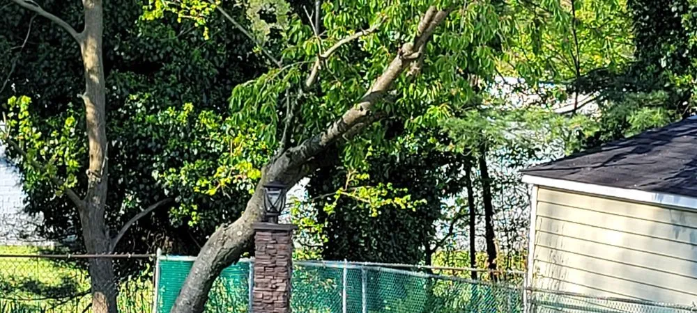 Affordable outdoor landscaping in Hatboro, PA by Eddies Tree & Landscaping