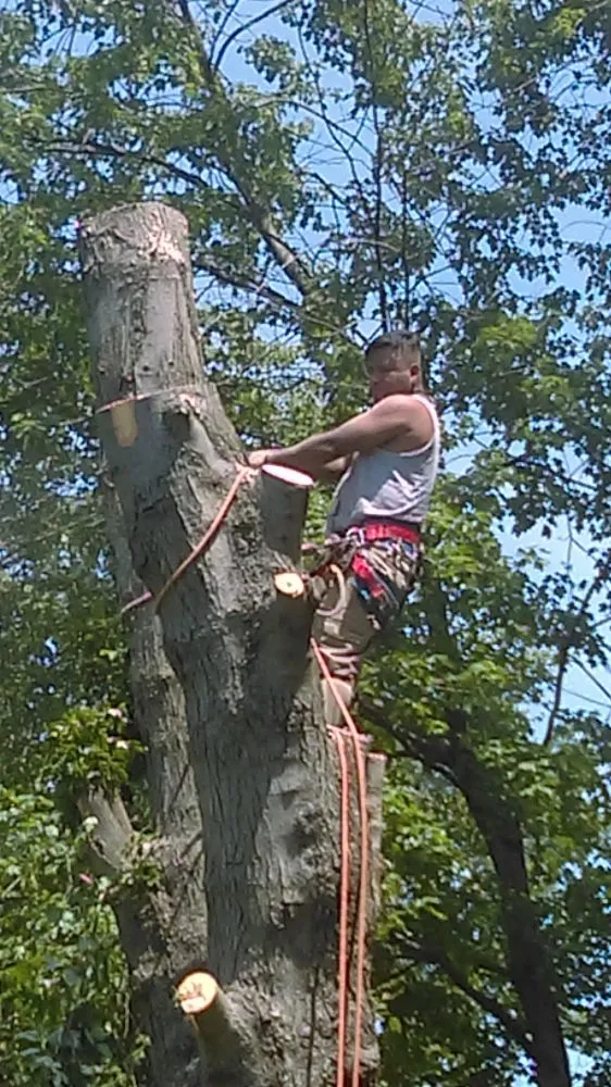 Top-rated lawn care service in Hatboro, PA by Eddies Tree & Landscaping