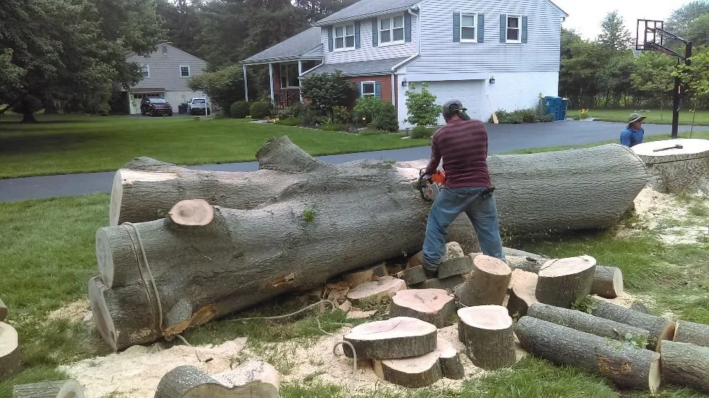 Affordable garden landscaping for beautiful yards in Hatboro, PA by Eddies Tree & Landscaping