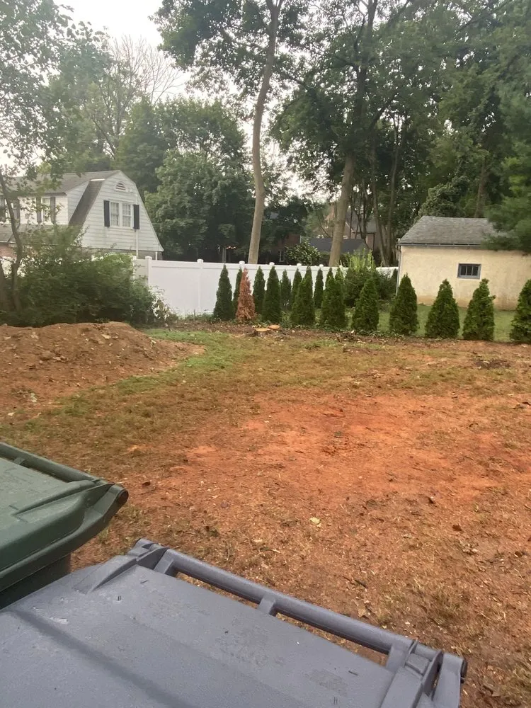 Reliable yard cleanup service in Hatboro, PA - Eddies Tree & Landscaping