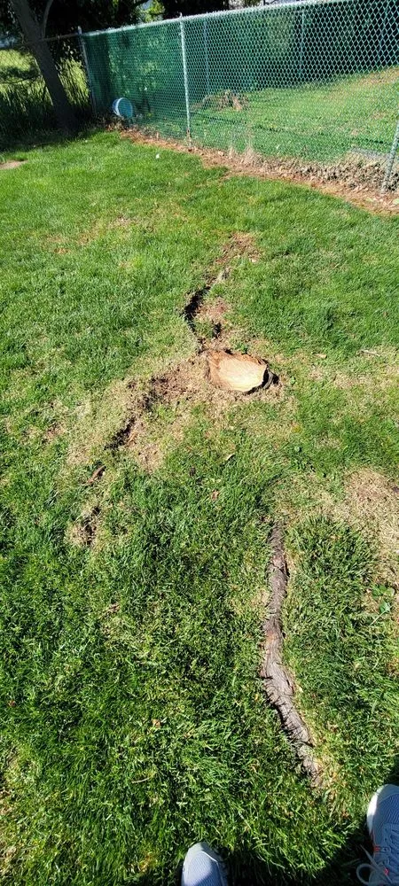 Professional landscape installation for homes across Hatboro, PA - Eddies Tree & Landscaping