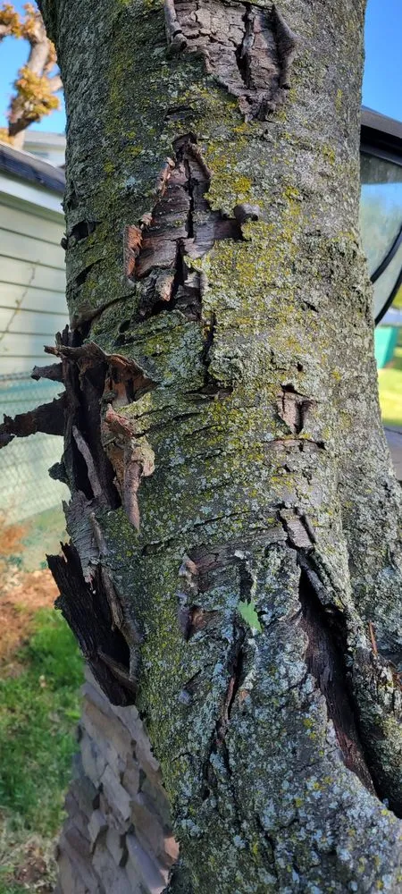 Expert residential landscaping in Hatboro, PA - Eddies Tree & Landscaping