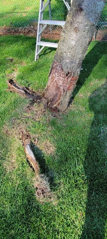 Top-rated garden landscaping near you across Hatboro, PA - Eddies Tree & Landscaping