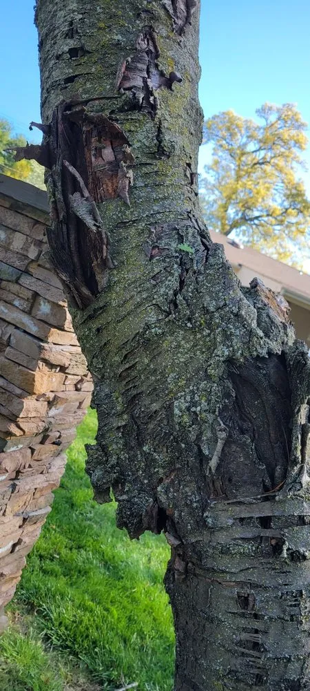 Expert landscape installation for residential properties in Hatboro, PA by Eddies Tree & Landscaping