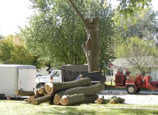 Custom landscape installation experts serving Woodstock, IL - Eddie's Tree Removal