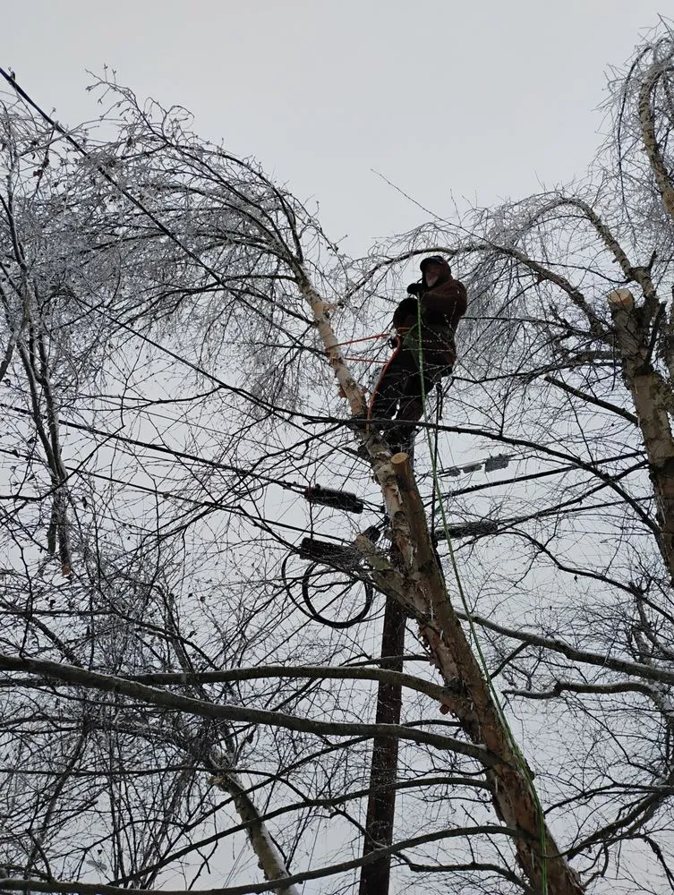 Trusted lawn care service experts serving Radcliff, KY - Eddie's Tree Service & Landscaping