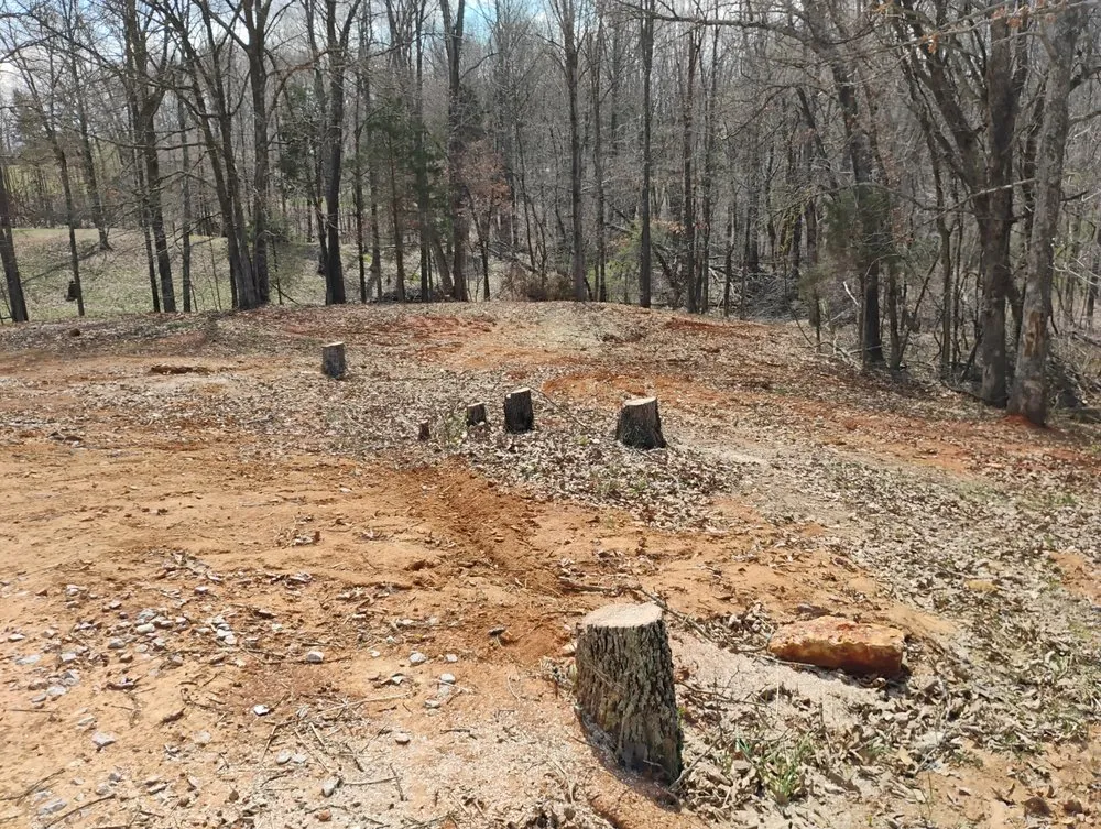 Professional landscape installation in Radcliff, KY - Eddie's Tree Service & Landscaping