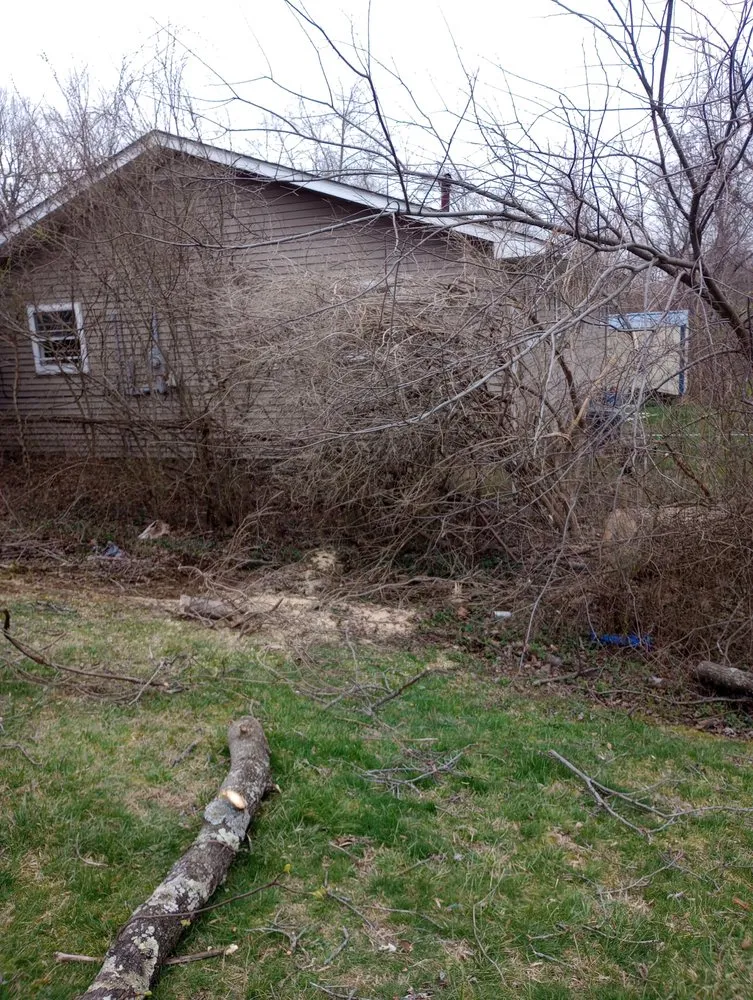 Custom lawn mowing service in Radcliff, KY - Eddie's Tree Service & Landscaping