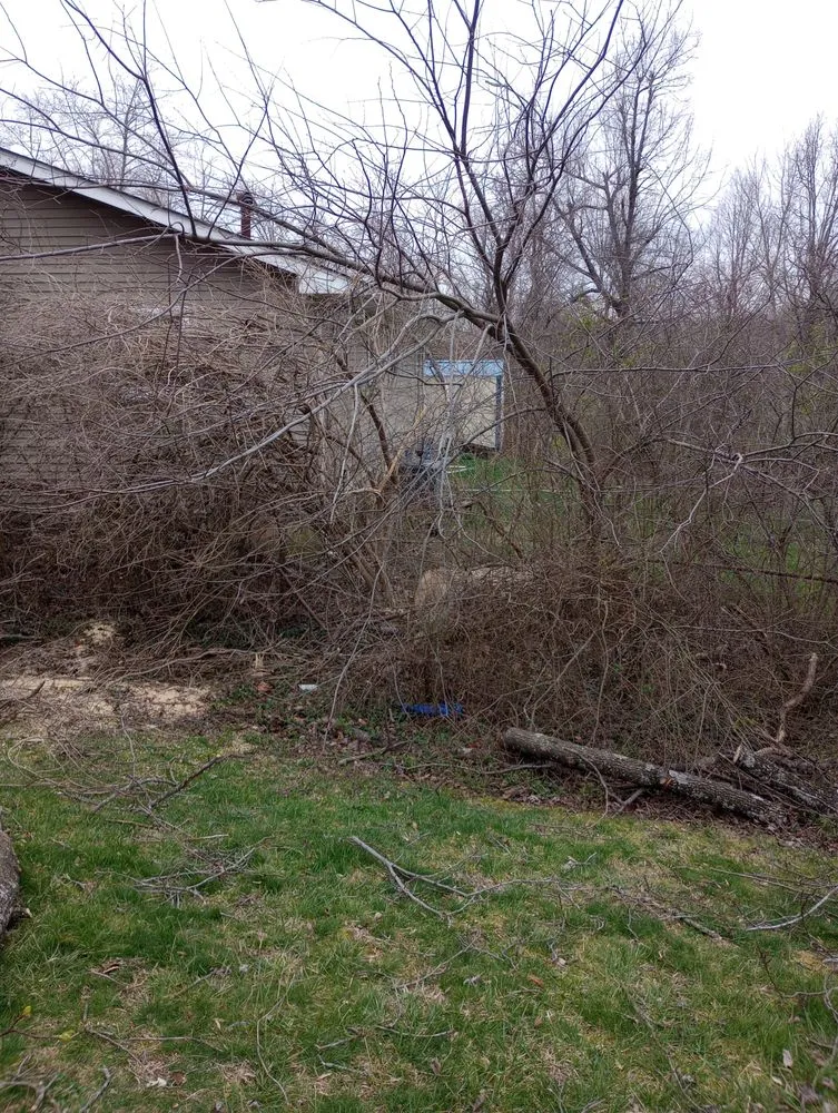 Reliable lawn mowing service for year-round maintenance in Radcliff, KY by Eddie's Tree Service & Landscaping