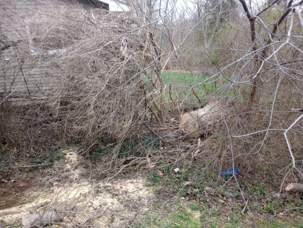 Affordable residential landscaping in Radcliff, KY - Eddie's Tree Service & Landscaping