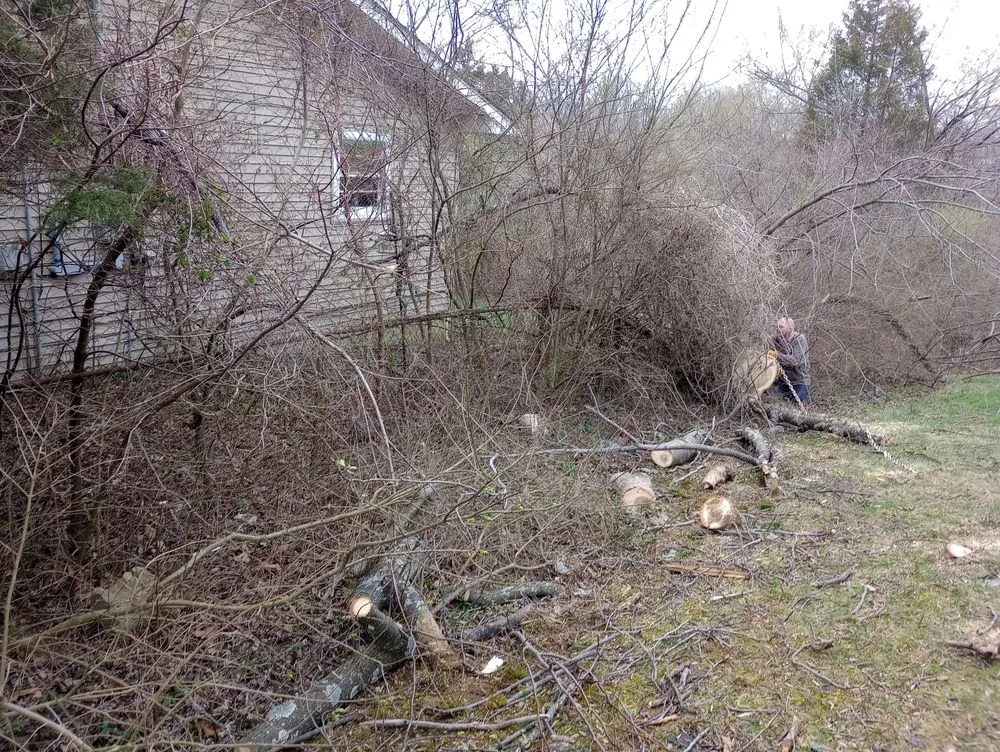 Local yard maintenance experts serving Radcliff, KY - Eddie's Tree Service & Landscaping