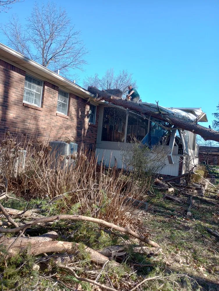 Expert yard maintenance for beautiful yards across Radcliff, KY - Eddie's Tree Service & Landscaping