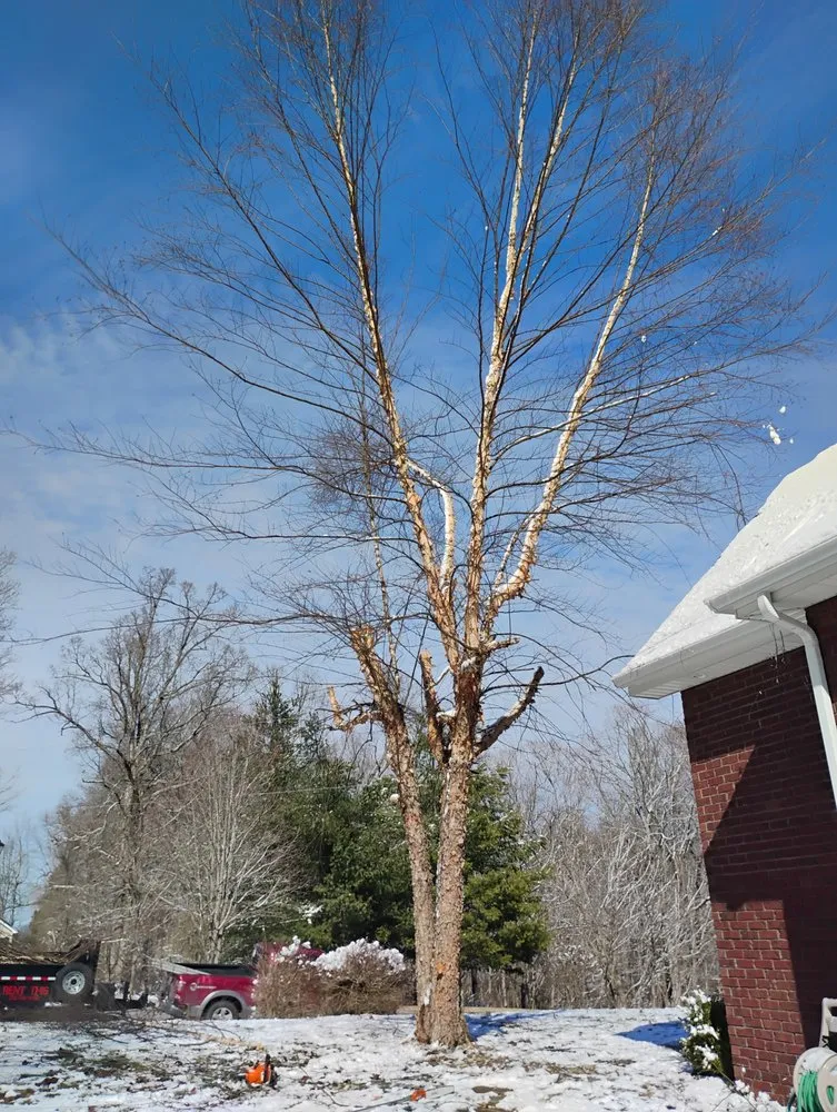 Expert lawn care service in Radcliff, KY by Eddie's Tree Service & Landscaping