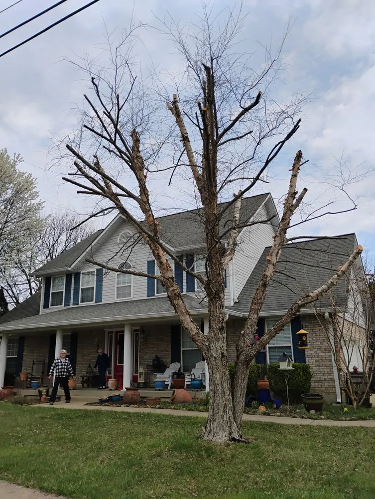 Professional landscape design experts serving Radcliff, KY - Eddie's Tree Service & Landscaping