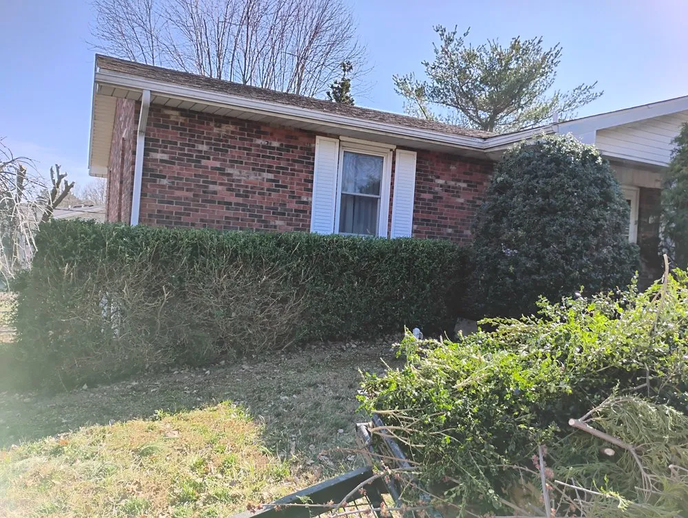 Trusted lawn care service near you across Radcliff, KY - Eddie's Tree Service & Landscaping