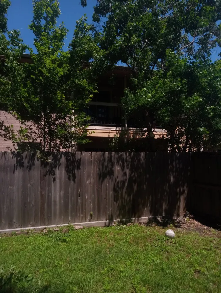 Affordable residential landscaping for year-round maintenance across Houston, TX - Eddie's Tree Service And Landscaping