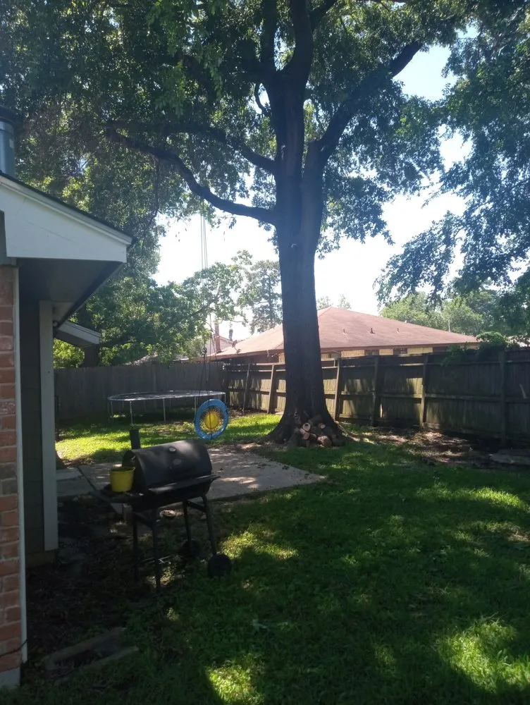 Top-rated lawn care service near you in Houston, TX by Eddie's Tree Service And Landscaping