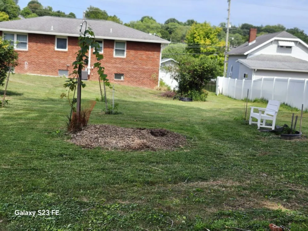 Professional garden landscaping with custom design across Morgantown, WV - Eddies Yard Service