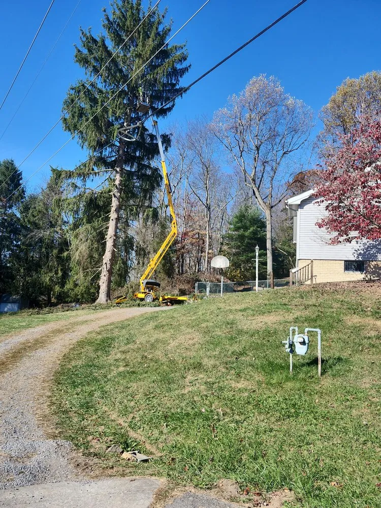 Expert outdoor landscaping near you across Morgantown, WV - Eddies Yard Service