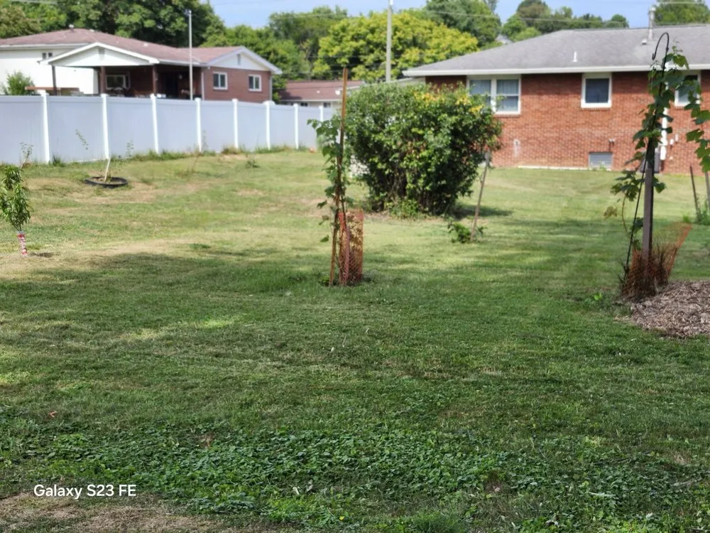 Expert garden landscaping for outdoor upgrades across Morgantown, WV - Eddies Yard Service