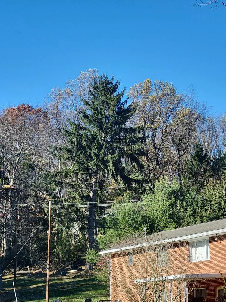 Reliable lawn mowing service in Morgantown, WV by Eddies Yard Service