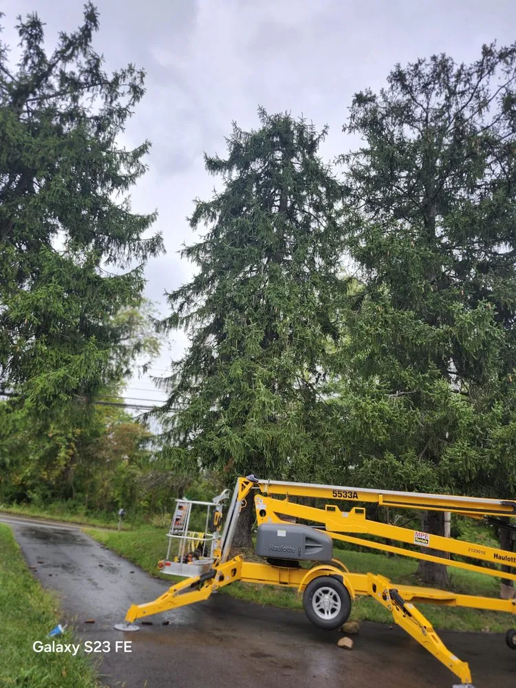 Professional landscape design for beautiful yards in Morgantown, WV by Eddies Yard Service