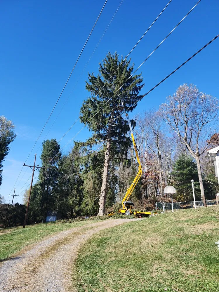 Custom landscaping services for homes in Morgantown, WV by Eddies Yard Service