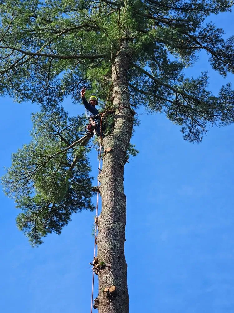 Professional landscape installation experts serving Yarmouth, MA - Eddy Services