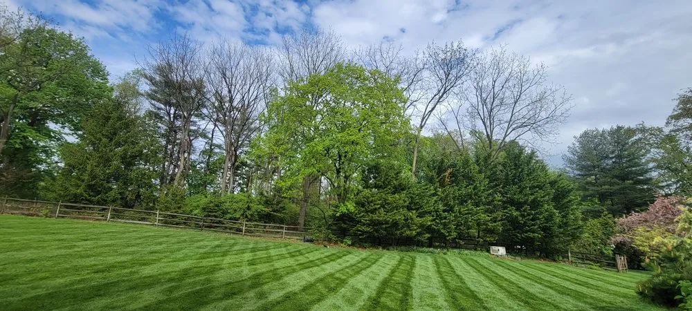 Professional landscape installation in Eagleville, PA by Eddy's Landscaping & Lawn Services