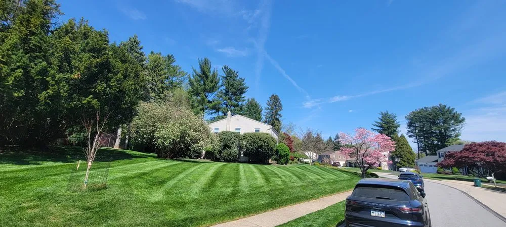 Trusted lawn care service for residential properties across Eagleville, PA - Eddy's Landscaping & Lawn Services