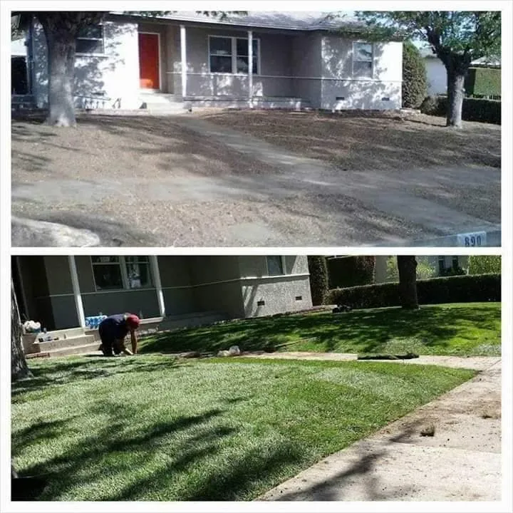 Custom lawn care service for outdoor upgrades across Chino, CA - Eddy's Landscaping