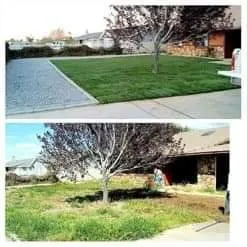 Professional yard cleanup service for homes in Chino, CA by Eddy's Landscaping