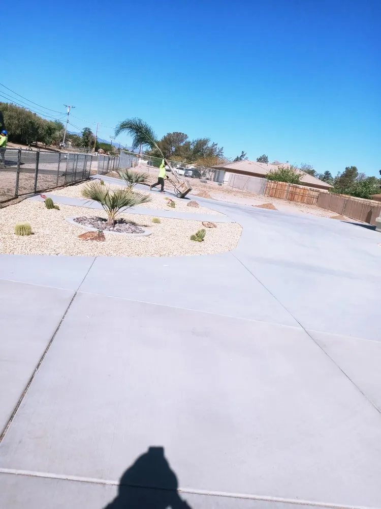 Custom yard cleanup service in Chino, CA by Eddy's Landscaping