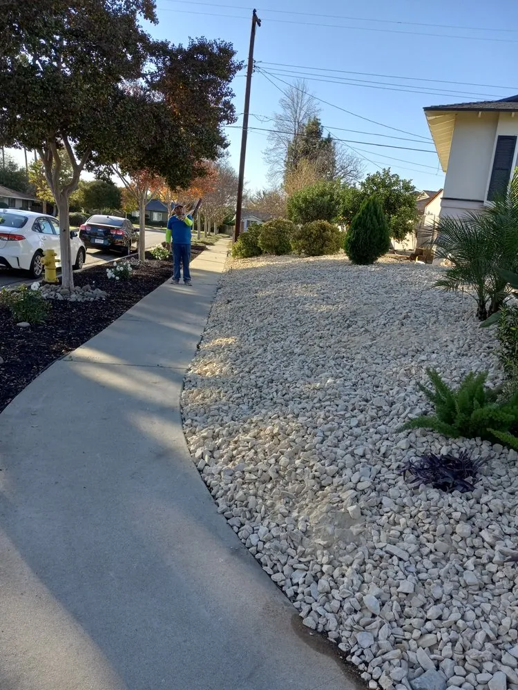 Reliable landscape installation in Chino, CA by Eddy's Landscaping