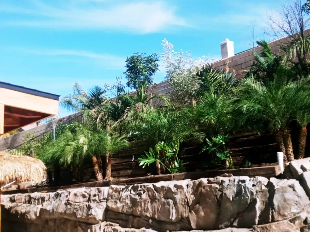 Affordable yard maintenance in Chino, CA - Eddy's Landscaping