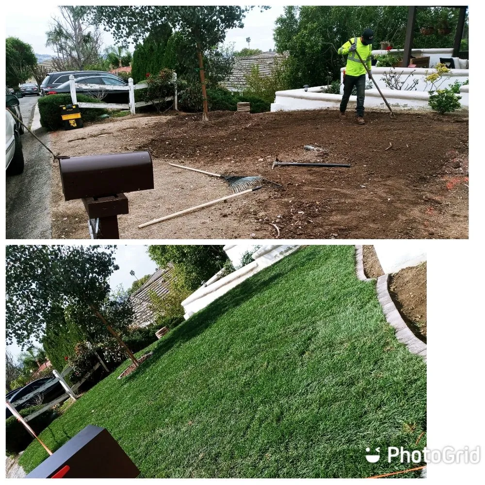 Affordable landscaping services for beautiful yards across Chino, CA - Eddy's Landscaping