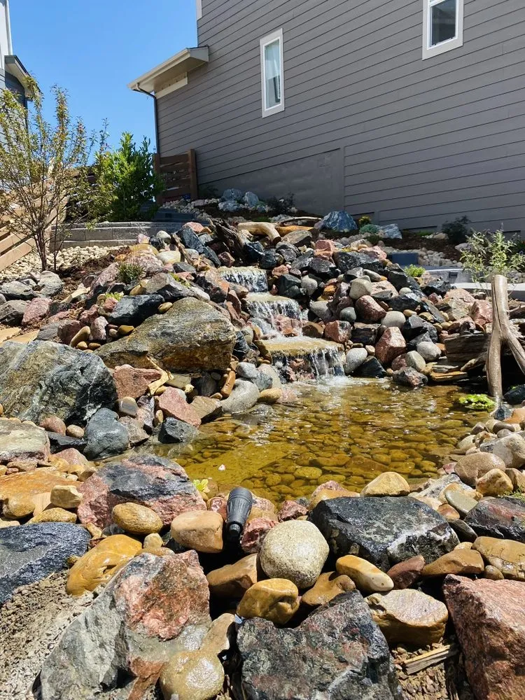 Expert landscape design experts serving Longmont, CO - Eddy's Lawn & Landscaping Services & Designs