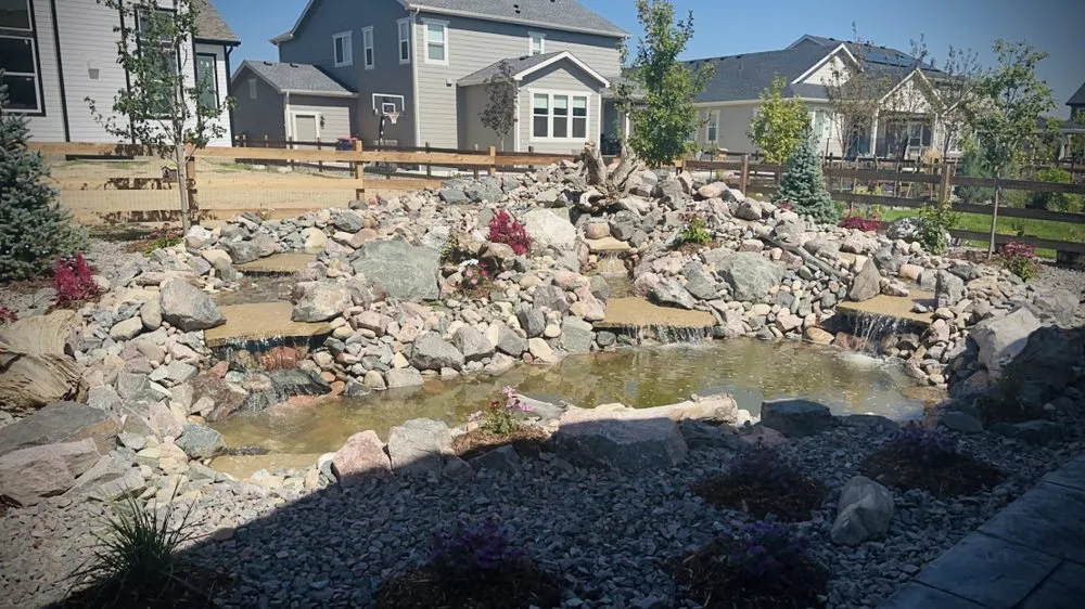 Professional yard cleanup service in Longmont, CO by Eddy's Lawn & Landscaping Services & Designs