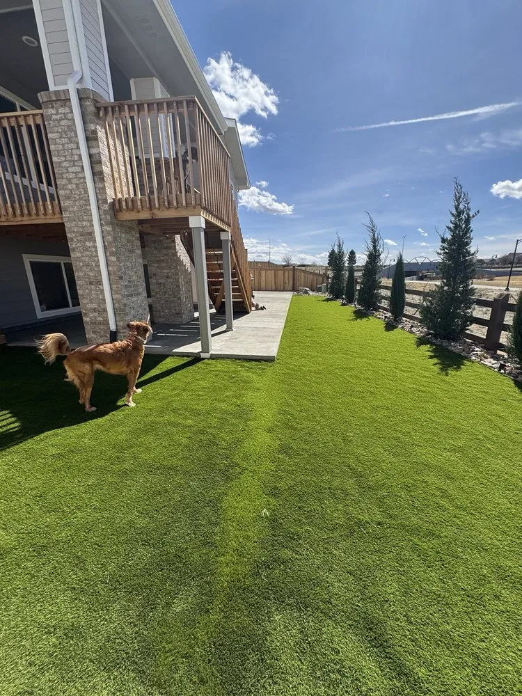 Expert lawn care service for homes in Longmont, CO by Eddy's Lawn & Landscaping Services & Designs