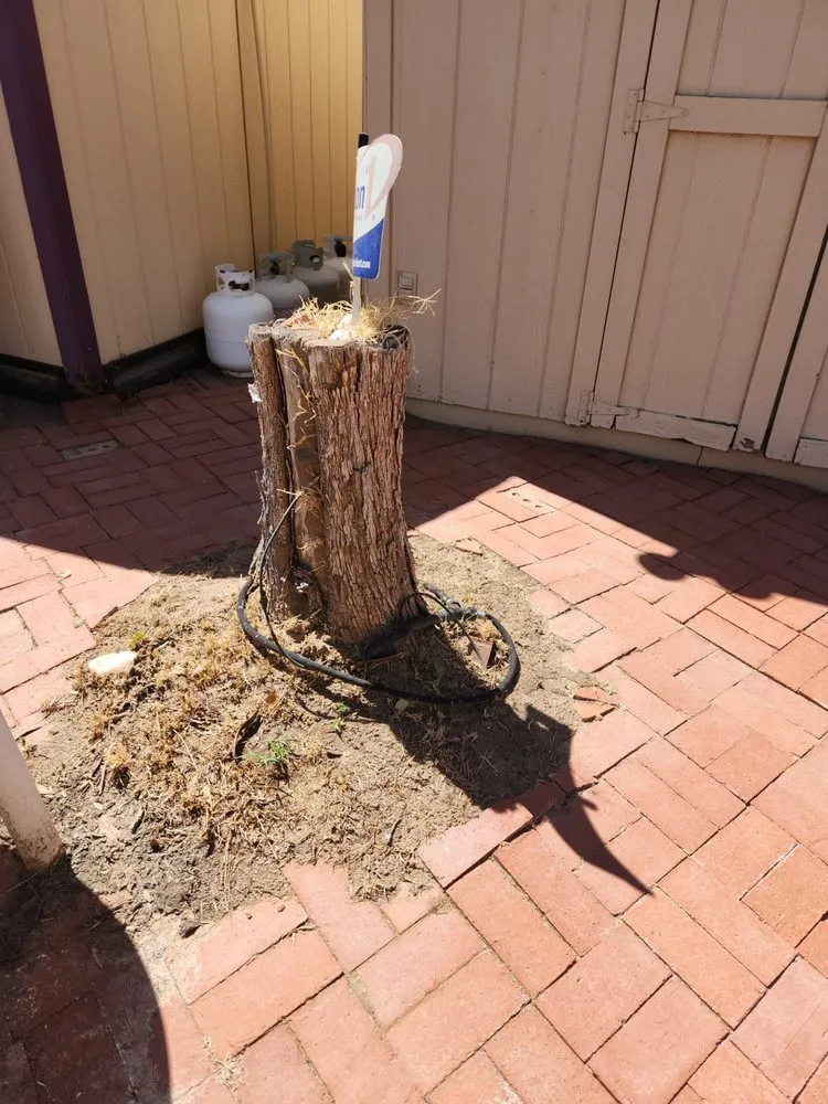 Affordable lawn mowing service in Phoenix, AZ by Eddy’z Landscaping