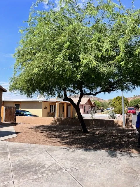 Custom outdoor landscaping for year-round maintenance in Phoenix, AZ by Eddy’z Landscaping