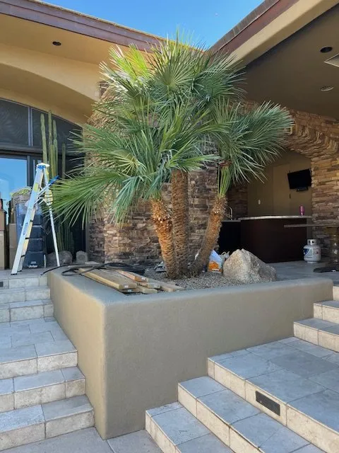 Professional garden landscaping in Phoenix, AZ by Eddy’z Landscaping