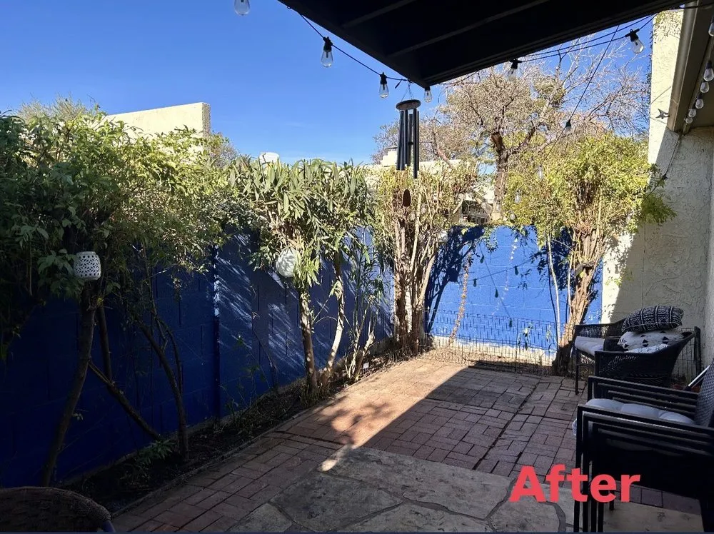 Custom garden landscaping in Phoenix, AZ by Eddy’z Landscaping